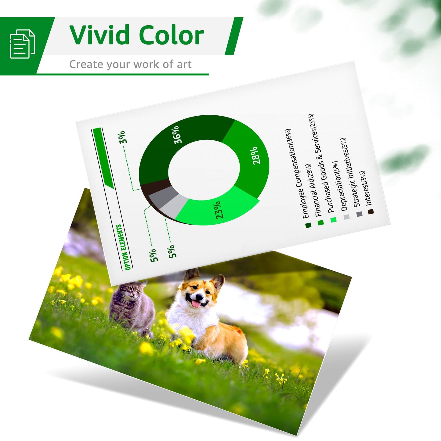 Greensky Printer Ink 64 Replacement (2 Pack)
